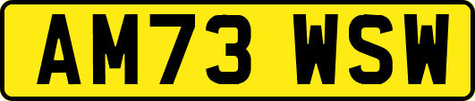 AM73WSW