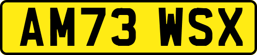 AM73WSX