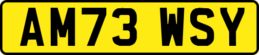 AM73WSY