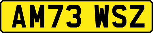 AM73WSZ