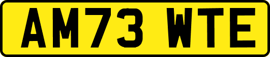 AM73WTE