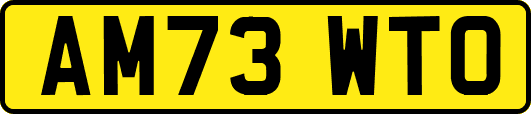 AM73WTO