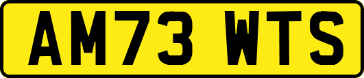 AM73WTS