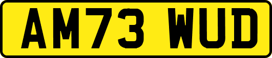 AM73WUD