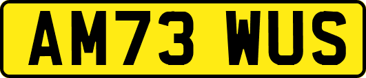 AM73WUS