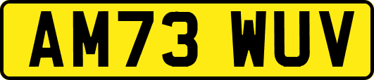 AM73WUV