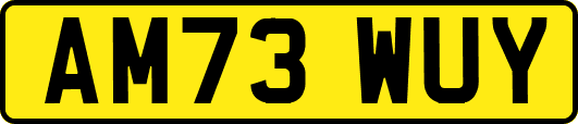 AM73WUY