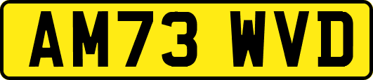 AM73WVD