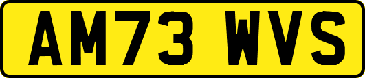 AM73WVS