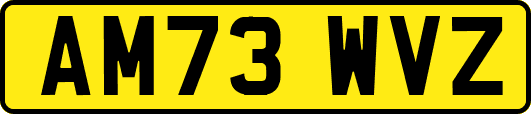AM73WVZ