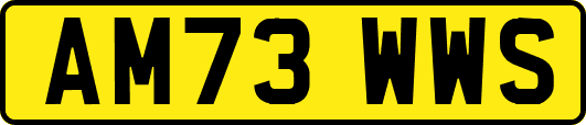 AM73WWS