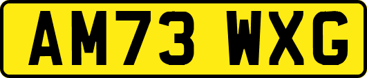 AM73WXG