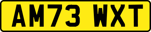 AM73WXT