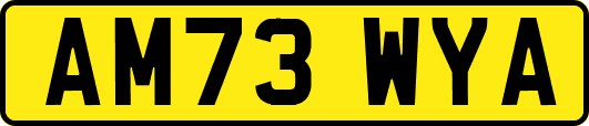 AM73WYA