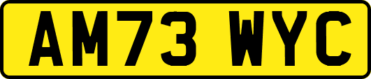 AM73WYC