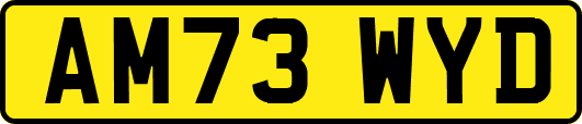 AM73WYD
