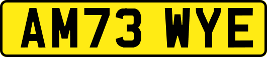 AM73WYE