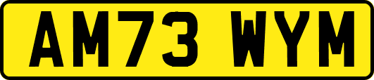 AM73WYM