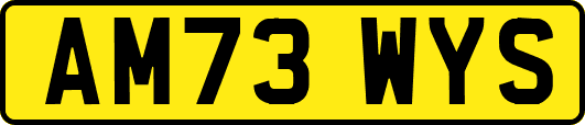 AM73WYS
