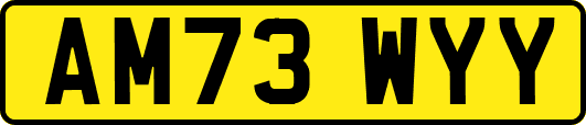 AM73WYY