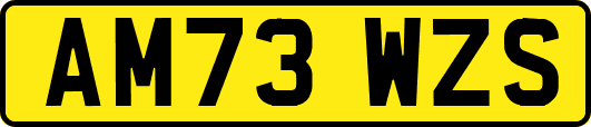 AM73WZS