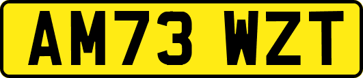 AM73WZT