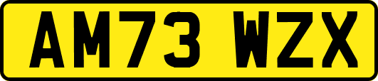 AM73WZX