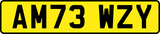 AM73WZY