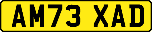 AM73XAD