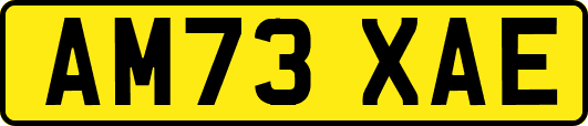 AM73XAE