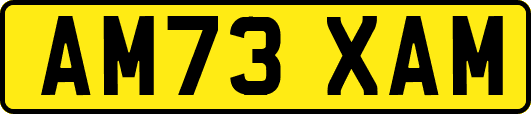 AM73XAM