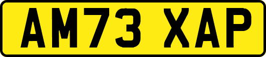 AM73XAP