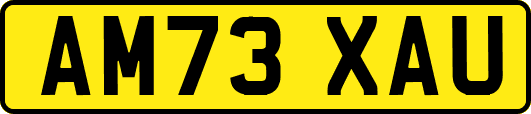 AM73XAU