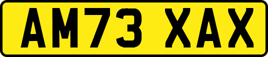 AM73XAX