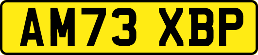 AM73XBP
