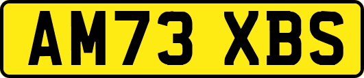 AM73XBS