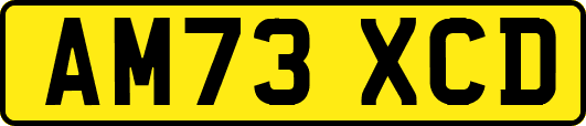 AM73XCD
