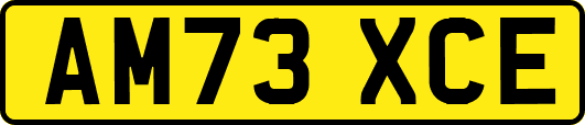 AM73XCE