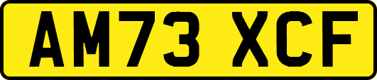 AM73XCF