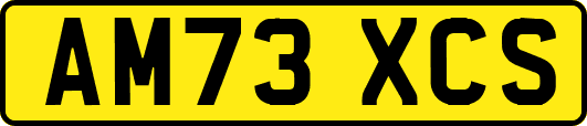 AM73XCS