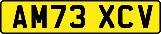 AM73XCV