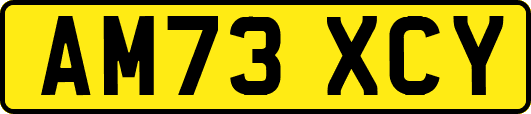 AM73XCY
