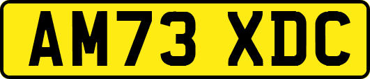 AM73XDC