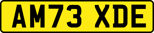 AM73XDE