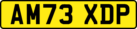 AM73XDP