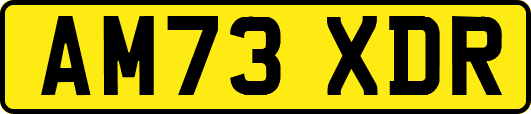 AM73XDR