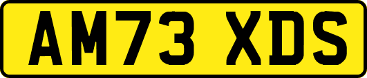 AM73XDS