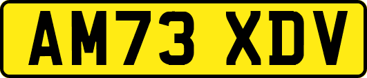 AM73XDV