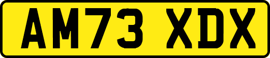 AM73XDX