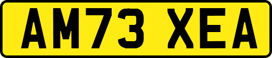 AM73XEA